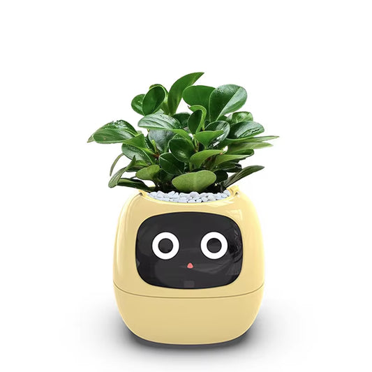 Smart Pot for Plant Small Flower Pot Ivy Desktop Green Plant Vase for Quіtіa